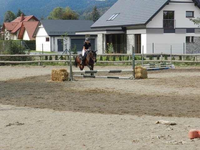 Babie Lato 2016
